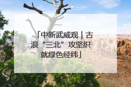 中新武威观｜古浪“三北”攻坚织就绿色经纬