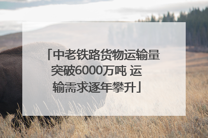 中老铁路货物运输量突破6000万吨 运输需求逐年攀升