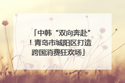 中韩“双向奔赴”！青岛市城阳区打造跨国消费狂欢场