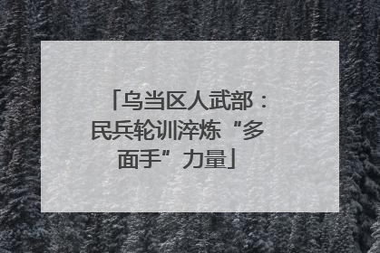 乌当区人武部：民兵轮训淬炼“多面手”力量