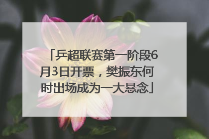 乒超联赛第一阶段6月3日开票，樊振东何时出场成为一大悬念