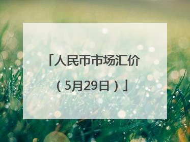 人民币市场汇价（5月29日）