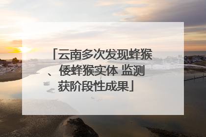云南多次发现蜂猴、倭蜂猴实体 监测获阶段性成果
