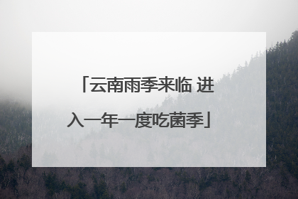 云南雨季来临 进入一年一度吃菌季