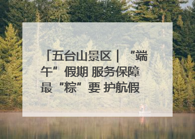 五台山景区｜“端午”假期 服务保障最“粽”要 护航假期“不打烊”