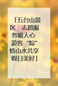 五台山景区：志愿服务暖人心 游客“粽”情山水共享假日美好