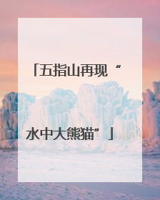 五指山再现“水中大熊猫”