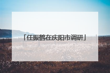 任振鹤在庆阳市调研