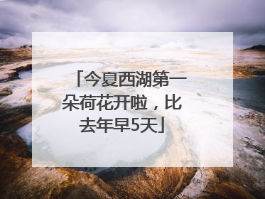 今夏西湖第一朵荷花开啦，比去年早5天
