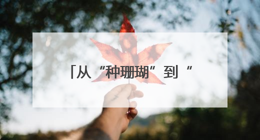 从“种珊瑚”到“育珊瑚” 海底“造林”有了新进展