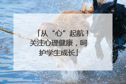 从“心”起航！关注心理健康，呵护学生成长