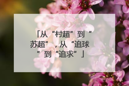 从“村超”到“苏超”，从“追球”到“追求”