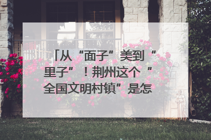 从“面子”美到“里子”！荆州这个“全国文明村镇”是怎样炼成的？