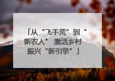 从“飞手荒”到“新农人” 激活乡村振兴“新引擎”