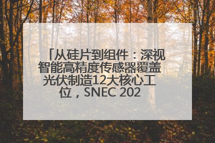 从硅片到组件：深视智能高精度传感器覆盖光伏制造12大核心工位，SNEC 2025诚邀见证