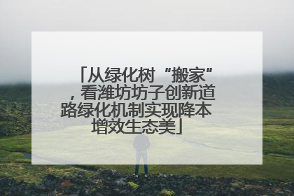 从绿化树“搬家”，看潍坊坊子创新道路绿化机制实现降本增效生态美