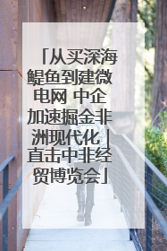 从买深海鳀鱼到建微电网 中企加速掘金非洲现代化｜直击中非经贸博览会
