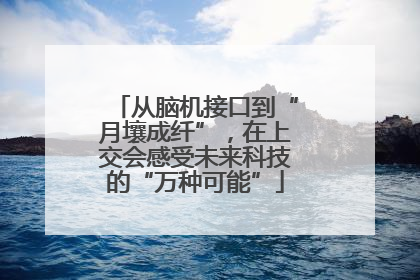 从脑机接口到“月壤成纤”，在上交会感受未来科技的“万种可能”