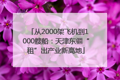 从2000架飞机到1000艘船：天津东疆“租”出产业新高地