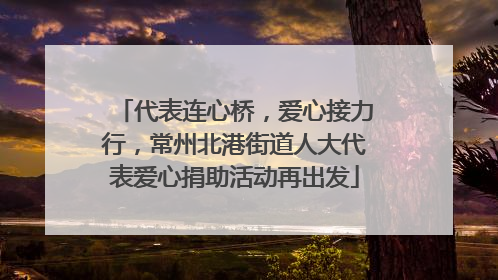 代表连心桥，爱心接力行，常州北港街道人大代表爱心捐助活动再出发