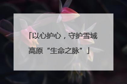 以心护心，守护雪域高原“生命之脉”