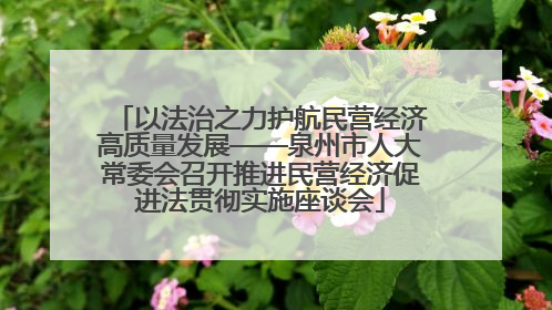 以法治之力护航民营经济高质量发展——泉州市人大常委会召开推进民营经济促进法贯彻实施座谈会