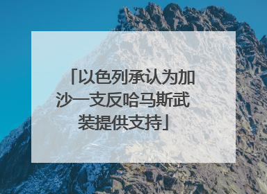 以色列承认为加沙一支反哈马斯武装提供支持