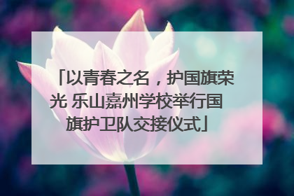 以青春之名，护国旗荣光 乐山嘉州学校举行国旗护卫队交接仪式