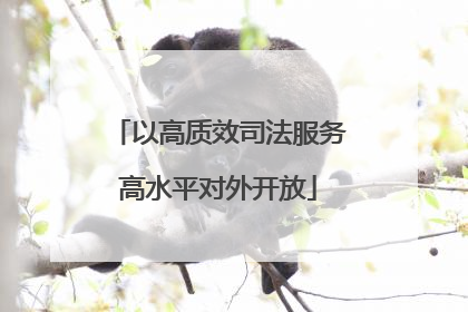 以高质效司法服务高水平对外开放