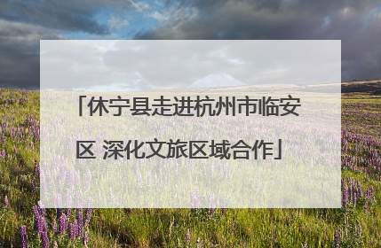 休宁县走进杭州市临安区 深化文旅区域合作