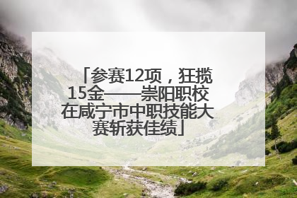 参赛12项，狂揽15金——崇阳职校在咸宁市中职技能大赛斩获佳绩