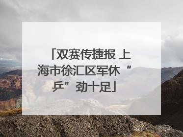 双赛传捷报 上海市徐汇区军休“乒”劲十足