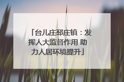 台儿庄邳庄镇：发挥人大监督作用 助力人居环境提升