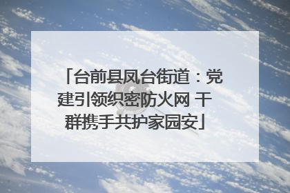 台前县凤台街道：党建引领织密防火网 干群携手共护家园安