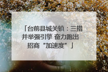 台前县城关镇：三措并举强引擎 奋力跑出招商“加速度”