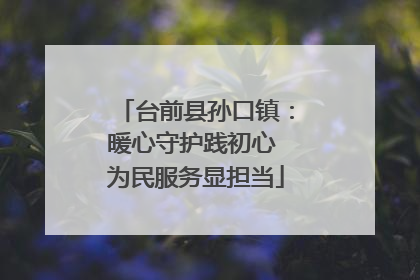 台前县孙口镇：暖心守护践初心 为民服务显担当