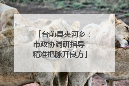 台前县夹河乡：市政协调研指导 精准把脉开良方