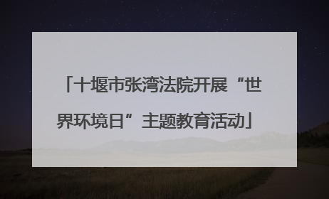 十堰市张湾法院开展“世界环境日”主题教育活动