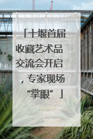 十堰首届收藏艺术品交流会开启，专家现场“掌眼”