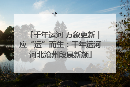 千年运河 万象更新｜应“运”而生：千年运河河北沧州段展新颜