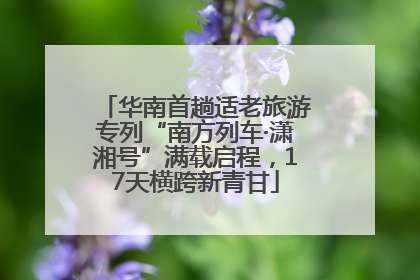 华南首趟适老旅游专列“南方列车·潇湘号”满载启程，17天横跨新青甘