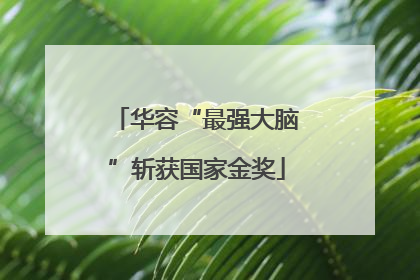 华容“最强大脑”斩获国家金奖
