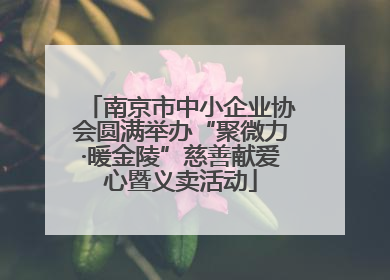 南京市中小企业协会圆满举办“聚微力·暖金陵”慈善献爱心暨义卖活动