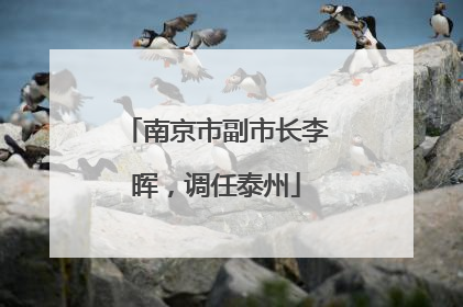 南京市副市长李晖，调任泰州