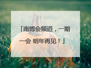 南博会频道，一期一会 明年再见！