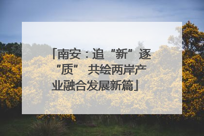 南安：追“新”逐“质” 共绘两岸产业融合发展新篇
