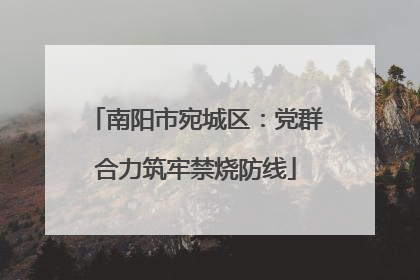 南阳市宛城区：党群合力筑牢禁烧防线