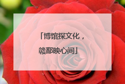 博馆探文化，赣鄱映心间