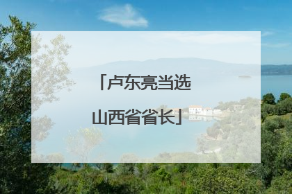 卢东亮当选山西省省长
