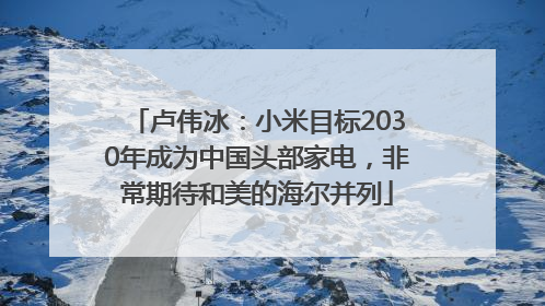 卢伟冰：小米目标2030年成为中国头部家电，非常期待和美的海尔并列